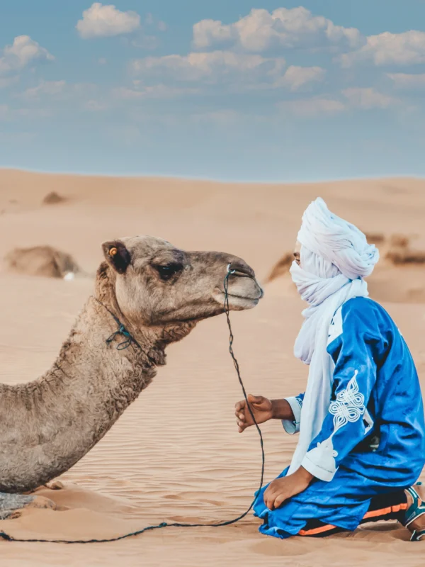 about Deal Morocco Tours